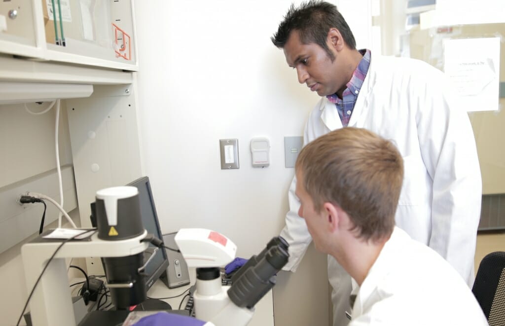 The lab of Kris Saha (standing) has developed an innovative combination of gene-editing tools and computational simulations that can be used to develop new strategies for editing genes associated with genetic disorders. PHOTO: STEPHANIE PRECOURT