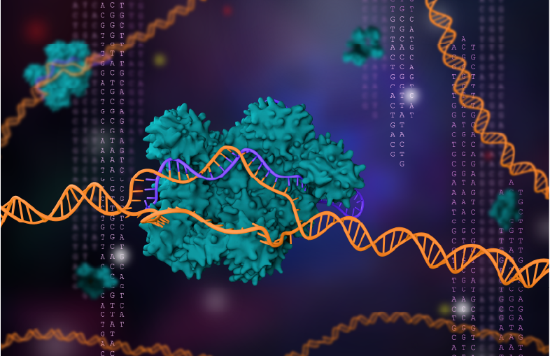 Pictured: 3D rendering of CRISPR-based genome editing. The Cas9 protein works to replace a DNA sequence with the desired genetic information. This method can be used to replace missing genetic information or insert entirely new synthetic sequences.