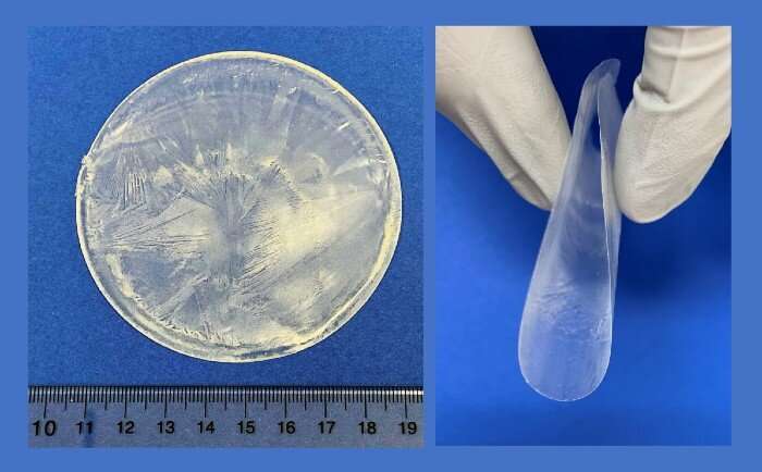 The piezoelectric wafer at left shows the crystalline structure of the middle layer of lysine. On the right the wafer easily flexes for biocompatibility and to induce the lysine crystal to create an electrical output. Scale is centimeters. Credit: Xudong Wang, University of Wisconsin-Madison