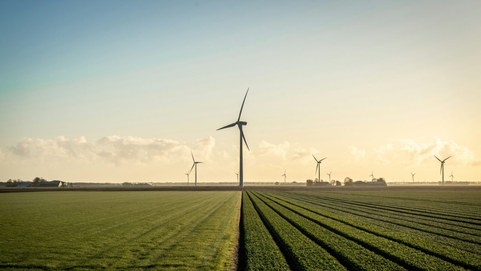 farm field with windmills